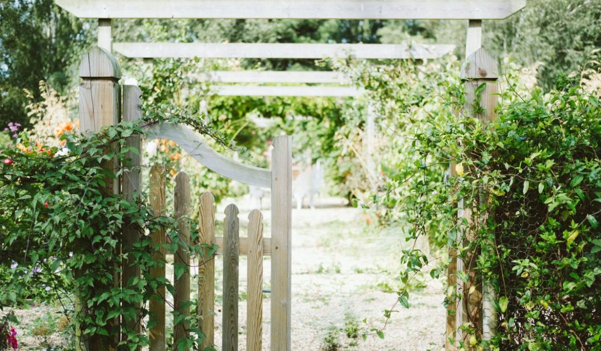 «ЕИС ЖКХ» для садово-дачных товариществ и партнёрств